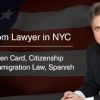alexander segal attorney