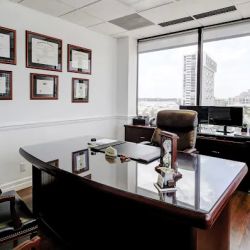 The Skier Law Firm ico