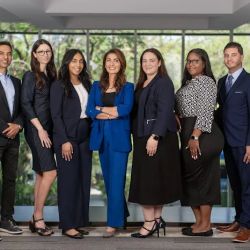 VisaNation Law Group ico