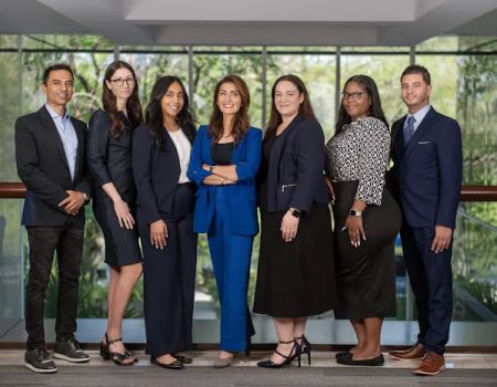 VisaNation Law Group