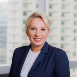 Malescu Law, PA - Business & Immigration Lawyers ico