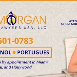 Immigration Lawyers USA ico