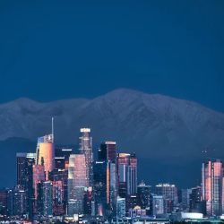 The Immigration Professor -- Immigration Lawyers ico