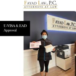 Fayad Law, P.C. ico