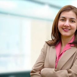 Law Office of Moona Shakil, PLLC ico