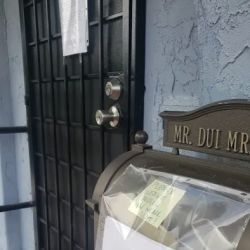 Mr. Ticket ico