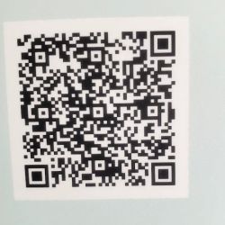 Doll Immigration Law LLC ico