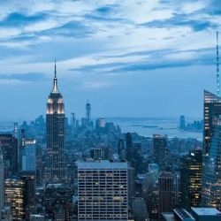 McAdams Law ico