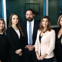 Seitles & Litwin ico