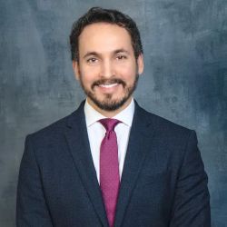 The Law Offices of Daniel S. Elimelech, P.A. ico