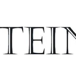 SteinLaw ico