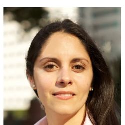 Perez Law P.L.- Ana Maria Perez ico