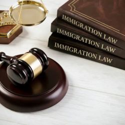 Law Office of Irma Yanet Ramirez P.A. ico