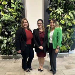 Chaviano Law Firm, P.A. ico