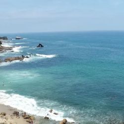 Coast Litigation LLC ico