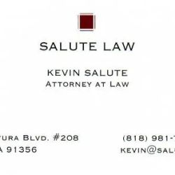 Kevin Salute ico