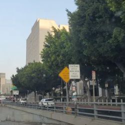 Abogados de Accidentes Latinos Firma Broadway ico
