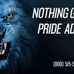 Pride Public Adjusters ico