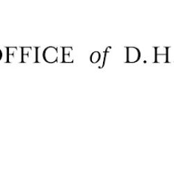 Law Office of Daniela Hernandez Chong Cuy ico