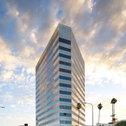 Nikhil M Shah Law Offices ico