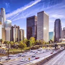 Lurie & Associates ico