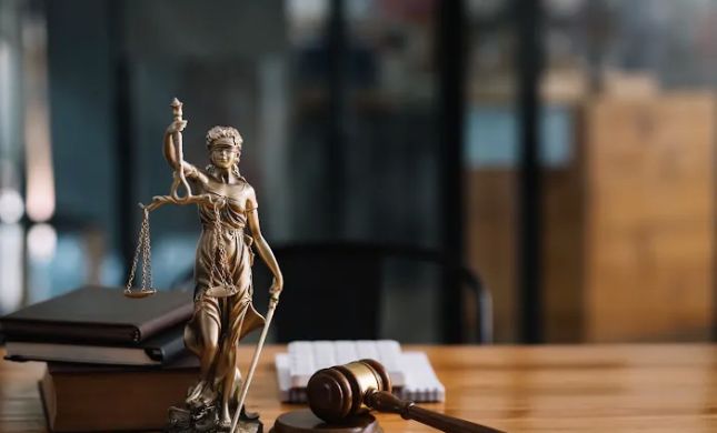 DFG Law