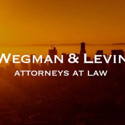 Wegman & Levin ico