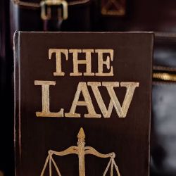 Rupal Law ico