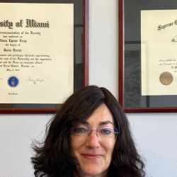 Law Office of Diana Levy, P.A. ico
