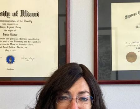 Law Office of Diana Levy, P.A.