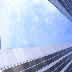 Odgers Law Group ico