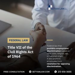Setyan Law - Los Angeles Employment Lawyer ico