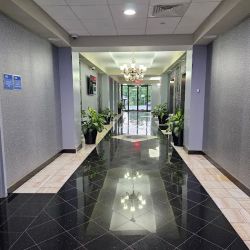 Semaisim Immigration Law Office, PLLC ico