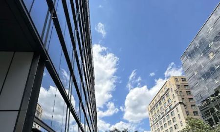 Holland & Knight LLP: Shapiro Stephen B