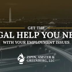 Zipin, Amster & Greenberg LLC ico