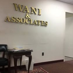 Wani & Associates, P.C ico