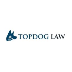 TopDog Law Personal Injury Lawyers - Washington DC Office ico