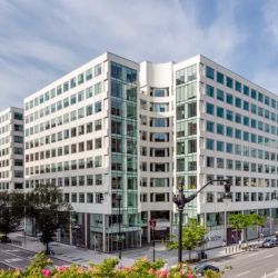 Crowley So, LLP ico