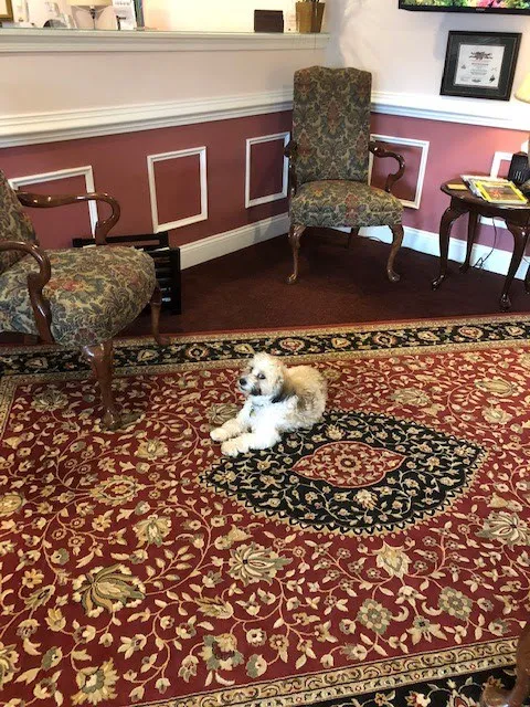 Law Offices of Michael Kevin Murphy, PLLC 3