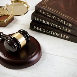 Fayad Law, P.C. ico
