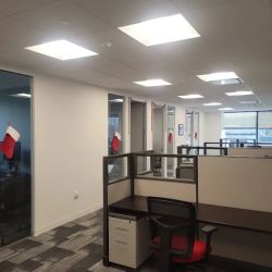 Paré & Associates, LLC ico