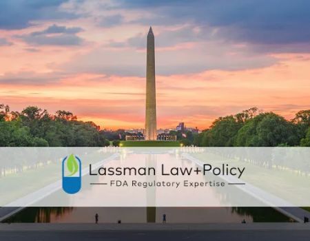 Lassman Law+Policy