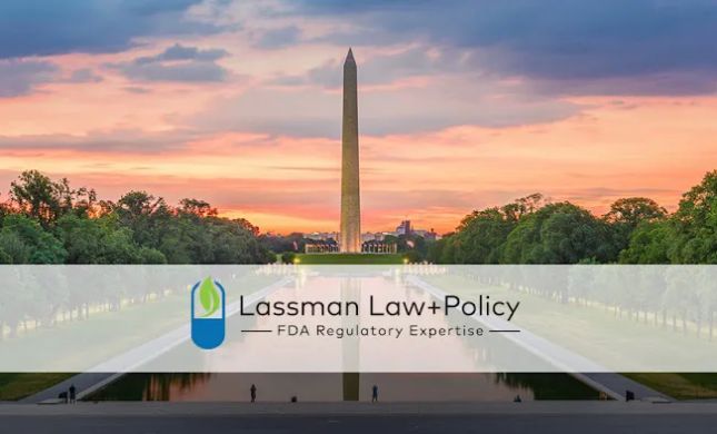 Lassman Law+Policy