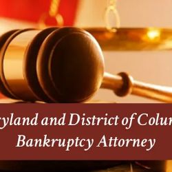 The Burns Lawfirm, LLC ico