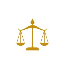 Law Office of Ashkira H. Mohamud, PLLC ico