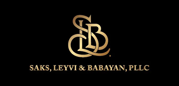 The Leyvi Law 0