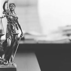 Siegle & Sims L.L.P. ico
