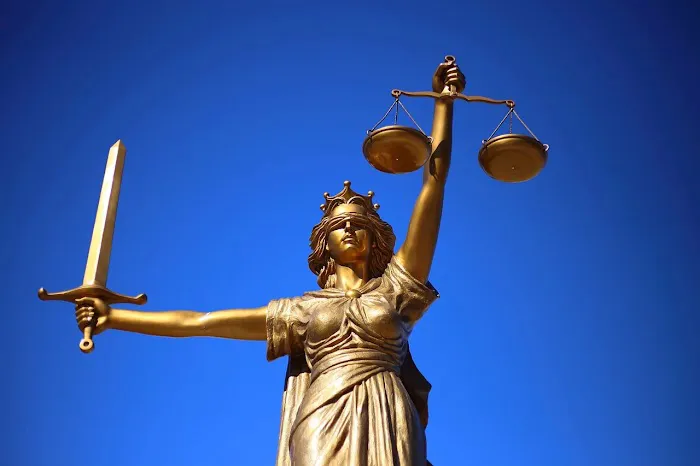 Peter M. Agulnick, P.C.; Attorney; false arrest; judgment enforcement; litigation 0