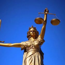 Peter M. Agulnick, P.C.; Attorney; false arrest; judgment enforcement; litigation ico