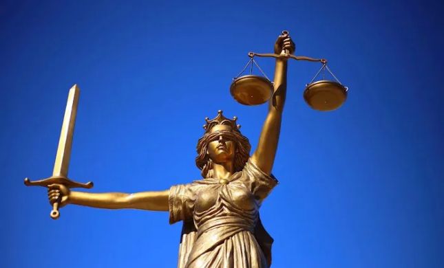 Peter M. Agulnick, P.C.; Attorney; false arrest; judgment enforcement; litigation